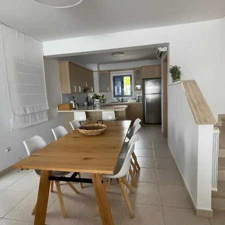 Indigo بروتاراس