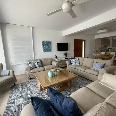 Indigo بروتاراس